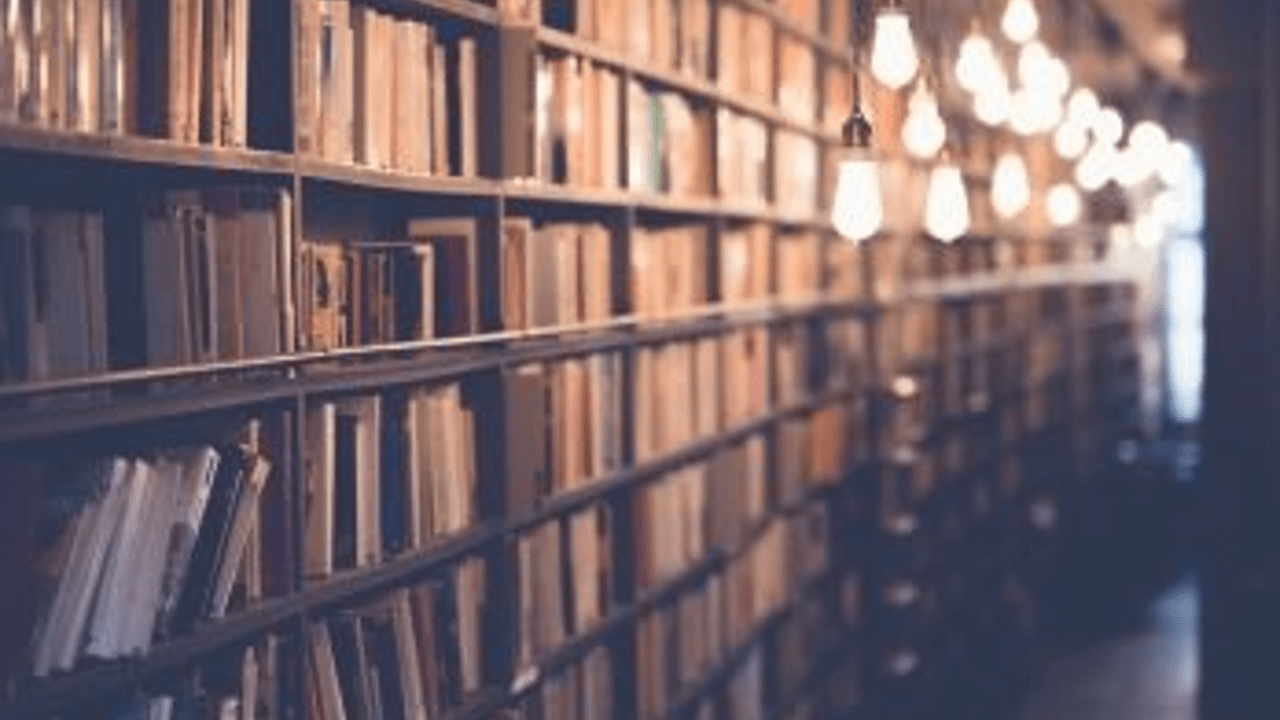 :newspaper: Le Fil | Leadership Academy For New Futures - Interview with Tessa Melkonian