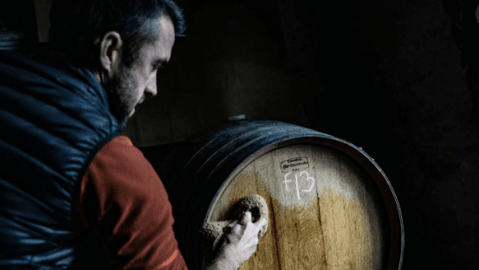 Connect the World Montpellier | Visite domaine du Domaine Viticole "Clos Aguilem"